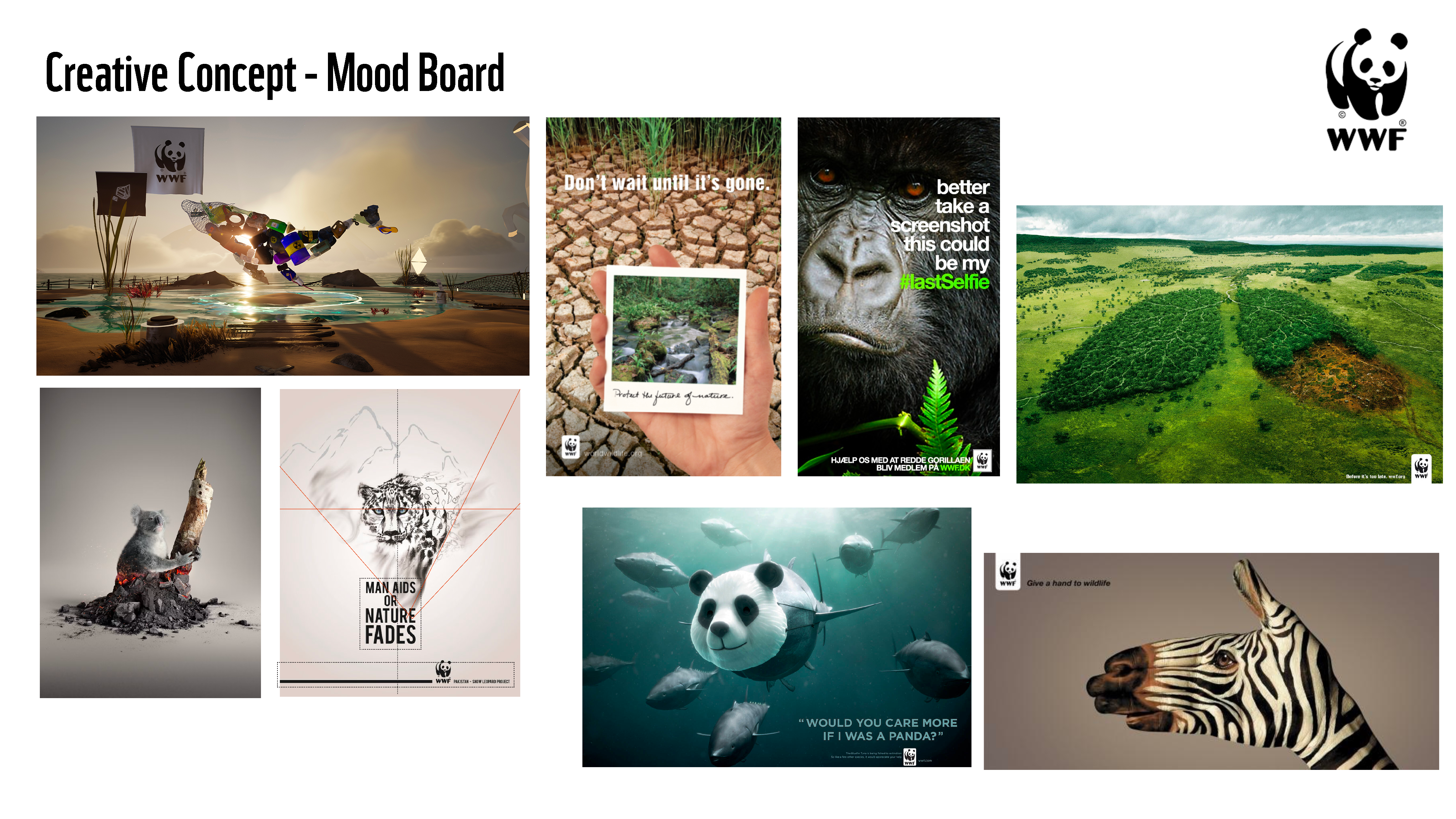 Work 8 Slide 8